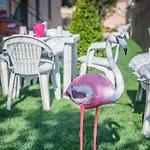Orchidea House Two 4* Φιουμιτσίνο