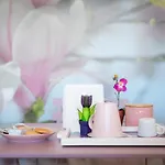 Orchidea House Two 4* Φιουμιτσίνο